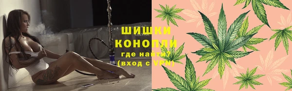 ПСИЛОЦИБИНОВЫЕ ГРИБЫ Весьегонск