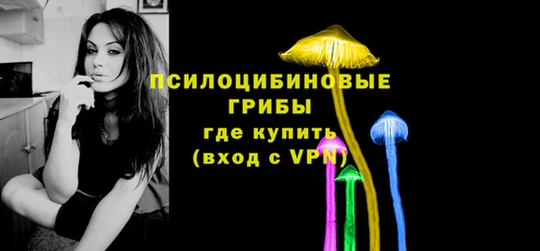 ПСИЛОЦИБИНОВЫЕ ГРИБЫ Богородицк