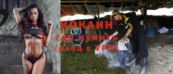 ПСИЛОЦИБИНОВЫЕ ГРИБЫ Богородицк