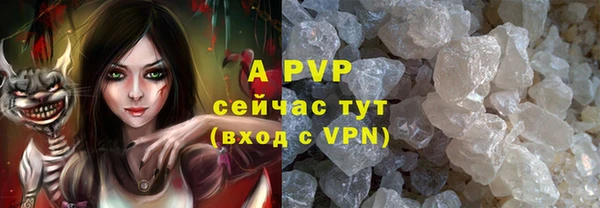 ПСИЛОЦИБИНОВЫЕ ГРИБЫ Богородицк