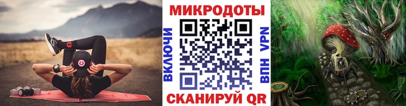 Галлюциногенные грибы Psilocybine cubensis  купить закладку  Будённовск 